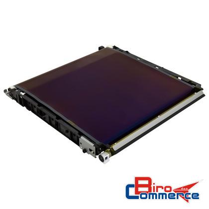 Transfer belt 224/308/364/368/454/458/454/554/558/O 